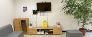 Television