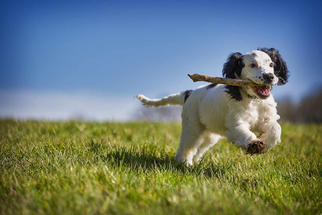 running